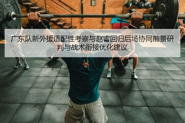 广东队新外援适配性考察与赵睿回归后场协同前景研判与战术衔接优化建议